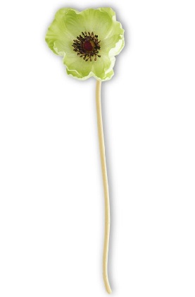Stem - Poppy 9.5', Green