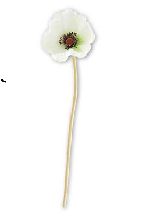 Stem - Poppy 9.5', White