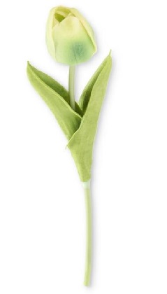Stem - Tulip 10.5', Green