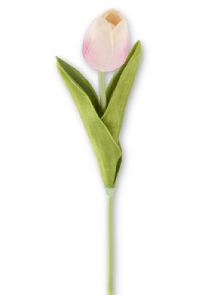 Stem - Tulip 10.5', Pink