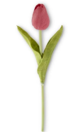 Stem - Tulip 10.5', Red