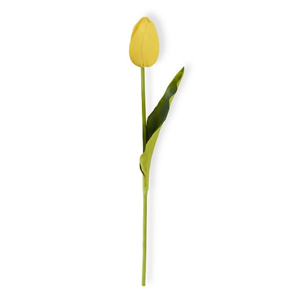 Stem - Tulip 10.5', Yellow