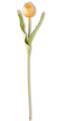Stem - Tulip 19.5', Orange