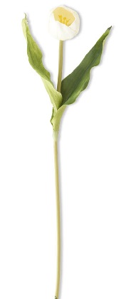Stem - Tulip 19.5', White