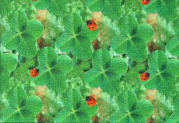 Stof of France - Petits Lapins - Lady Bug on 4-Leaf Clover, Green