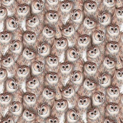Studio E - Night Owls - Owl Clutter, Taupe