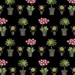 Studio E - Salon Fleur - Potted Plants, Black