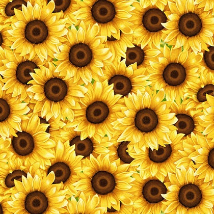 Studio E - Sunny Sunflowers - Packed Sunflowers, Yellow