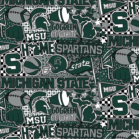 Sykel - College Prints - Michigan State, Green