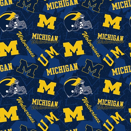 Sykel - College Prints - University of Michigan, Navy