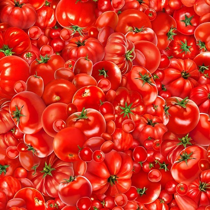 Timeless Treasures - Fresh Veggies - Fresh Tomatoes, Red