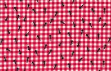 Timeless Treasures - Fruit - Ants on Gingham, Pink
