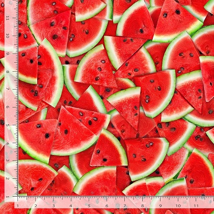 Timeless Treasures - Fruit - Packed Watermelon Slices, Watermelon