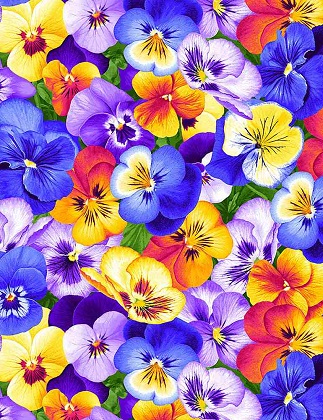 Timeless Treasures - Garden Bouquet - Packed Pansies, Multi