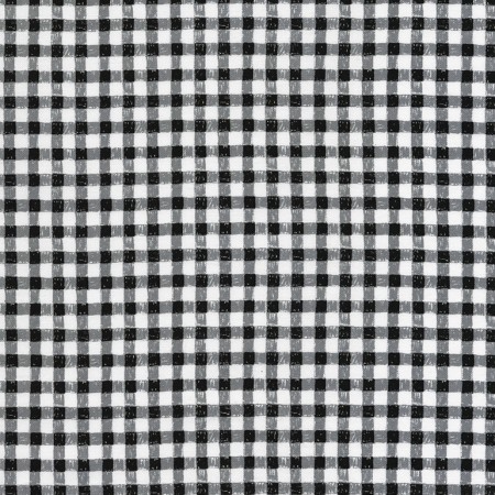 Timeless Treasures - Gingham - (Gail), Black & White