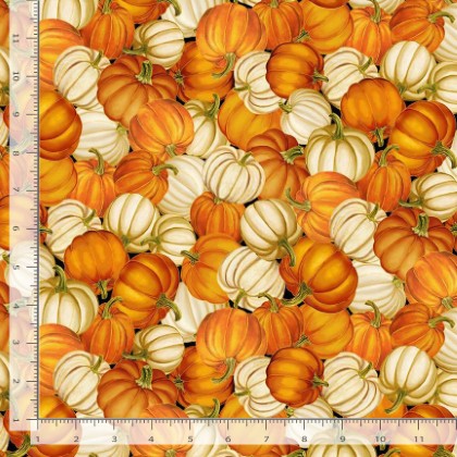 Timeless Treasures - Give Thanks - Pumpkins, Pumpkin
