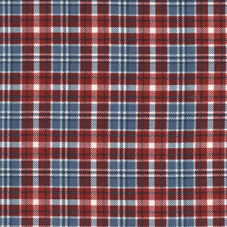 Timeless Treasures - Plaid - Large Plaid, Blue/Red