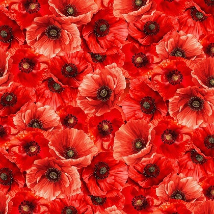 Timeless Treasures - Poppy Passion - Packed Poppies, Poppy
