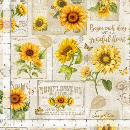Timeless Treasures - Sunflower Farm - Sunflower Collage, Beige