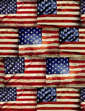 Timeless Treasures - USA - Packed Flags, Multi