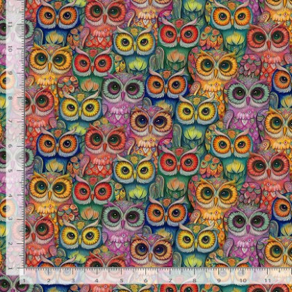 Timeless Treasures  Wild Wings - Packed Multi Owl, Multi