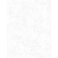 Wilmington Prints - Essentials Crackle, White
