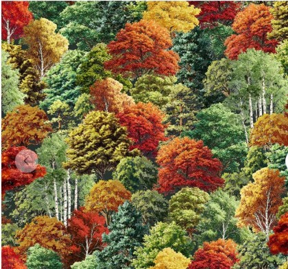 Windham Fabrics - Landscape - Changing Foliage, Multi