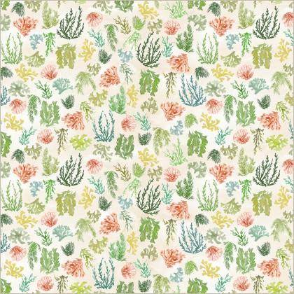 Windham Fabrics - Ocean Life - Reef, Ivory