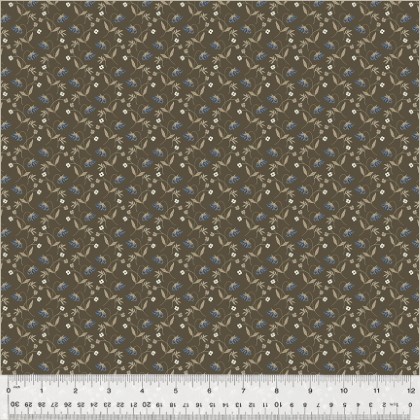 Windham Fabrics - Oxford - Flower Drops, Brown