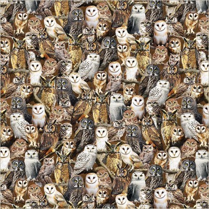 Windham Fabrics - Wild Kingdom - Observant Owls, Multi