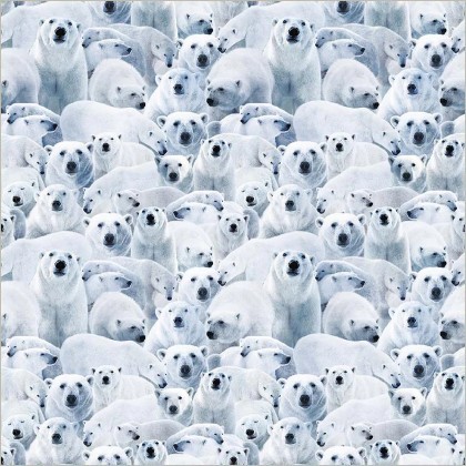 Windham Fabrics - Wild Kingdom - Polar White, Arctic