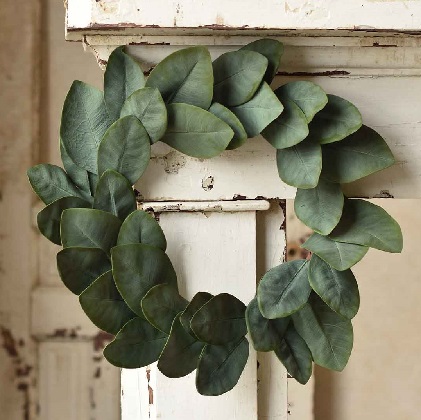 Wreath - Hanover Magnolia 20'