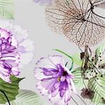 Designed by QT Fabrics