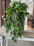 Florals (Shop by Buds or Blooms)