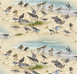 Elizabeth Studio - Coastal Dreams - Sand Pipers, Sand