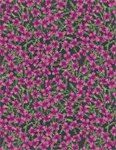 Wilmington Prints - Midnight Garden - Small Floral, Black/Purple