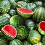 Elizabeth Studio - Food Festival - Watermelon, Green