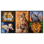 Robert Kaufman - Nature Studies - 24^ Zoo Animal Panel, Wild