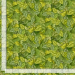 Timeless Treasures - Sunflower Farm - Packed Sunflower Leaves, Green