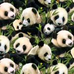 Elizabeth Studio - Panda Bears - Bears w/Bamboo, Black