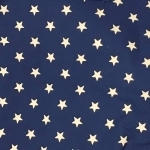 Dunroven House - Homespun Star, Ecru/Navy