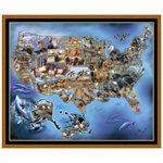 Quilting Treasures - Sew & Go VII - 36^ USA Animal Map, Multi