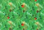 Stof of France - Petits Lapins - Lady Bug on 4-Leaf Clover, Green