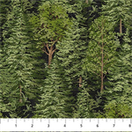Northcott - Bear Necessities - Trees, Black