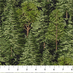 Northcott - Bear Necessities - Trees, Black