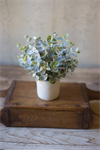 Sage Boxwood - Plant in Cement Pot