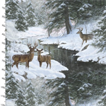 3 Wishes - Under the Moonlight - Surprise Encounter, Multi