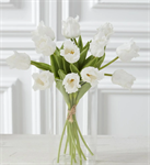 Bundle - 13^ Parrot Tulip, Real Touch - White
