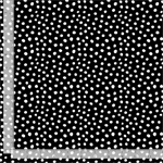 Timeless Treasures - DOT - Irregular Dots, White Dots on Black