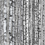 Elizabeth Studio - Landscape Medley - Trees, Gray